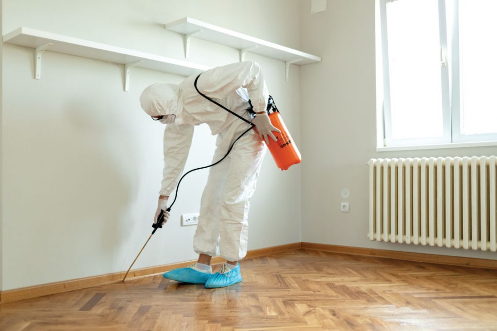 Pest control technician spraying in a residential home