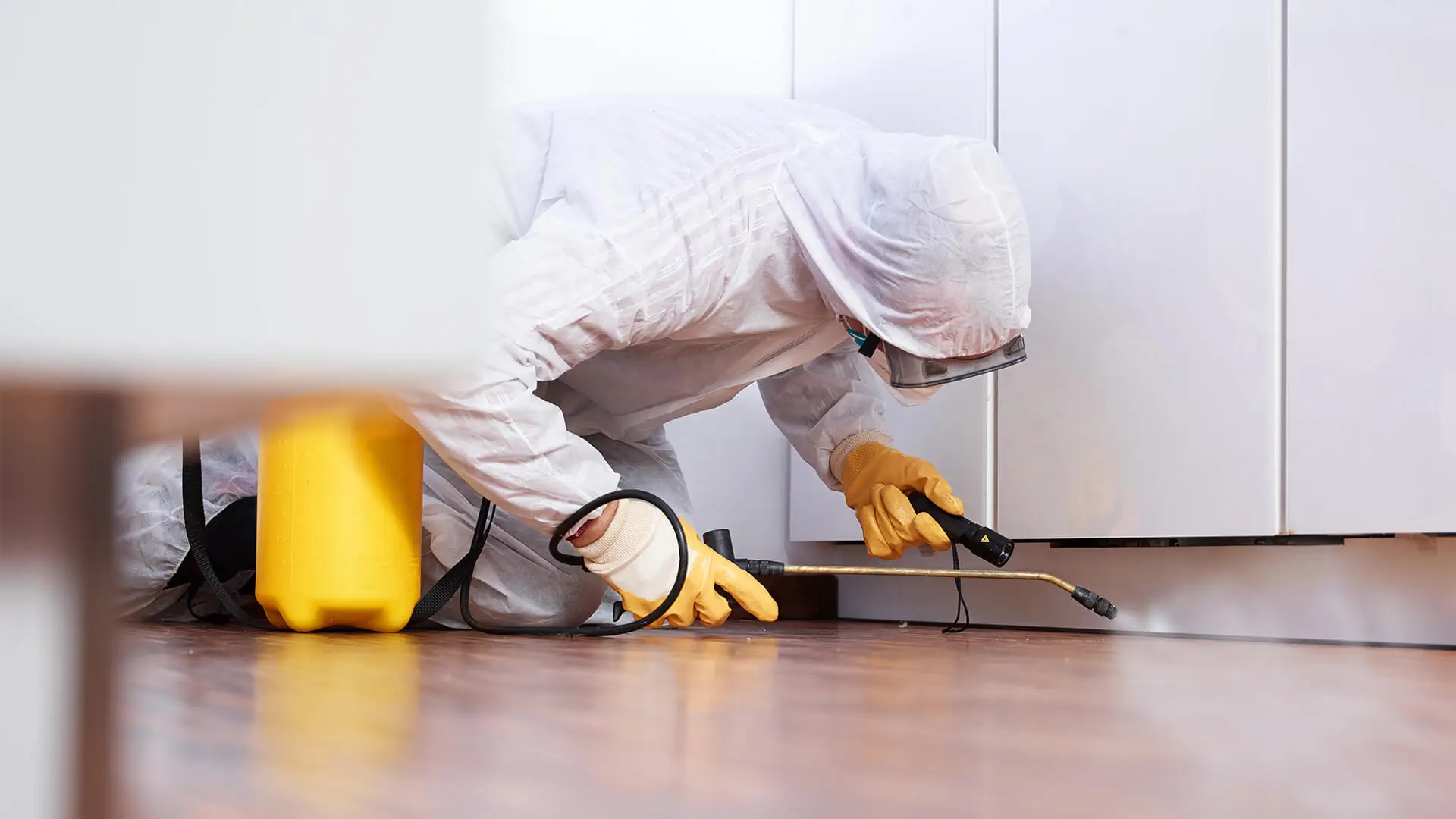 Pest control technician inspecting a home